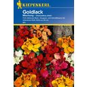 Kiepenkerl Golden Wallflower Mixture - 1 Pkg