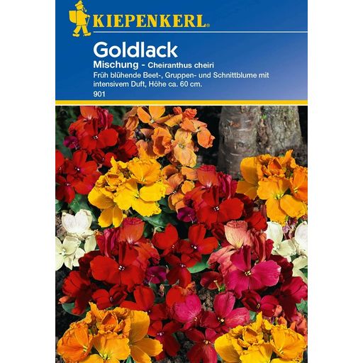 Kiepenkerl Golden Wallflower Mixture - 1 Pkg