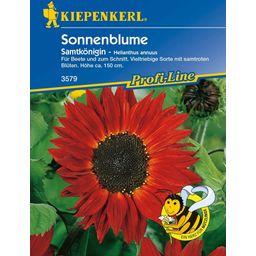 Kiepenkerl Sunflower- 