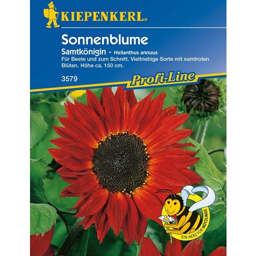 Kiepenkerl Sonnenblume "Samtkönigin" - 1 Pkg