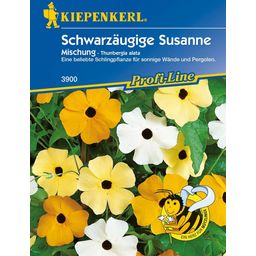 Kiepenkerl Schwarzäugige Susanne "Mischung"