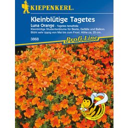 Kiepenkerl Small Flowered Marigolds "Luna Orange"
