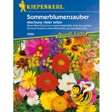 Kiepenkerl Summer Flower Magic