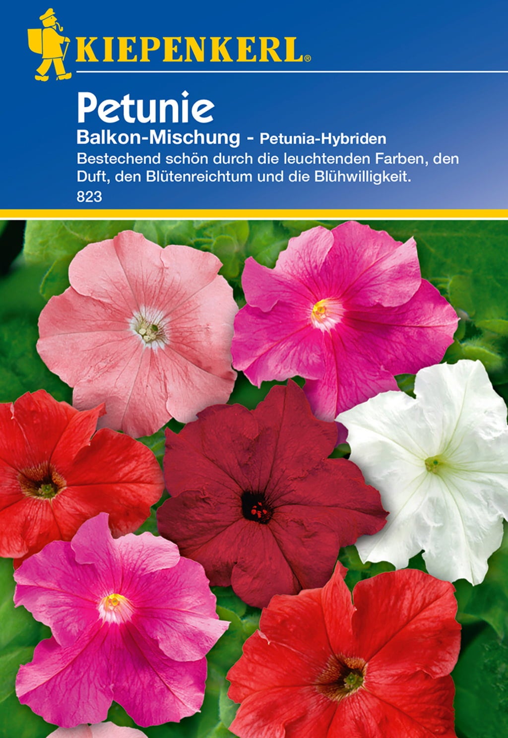 Kiepenkerl Petunia - Mezcla de Balcón