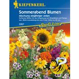 Kiepenkerl Summer Evening Mix