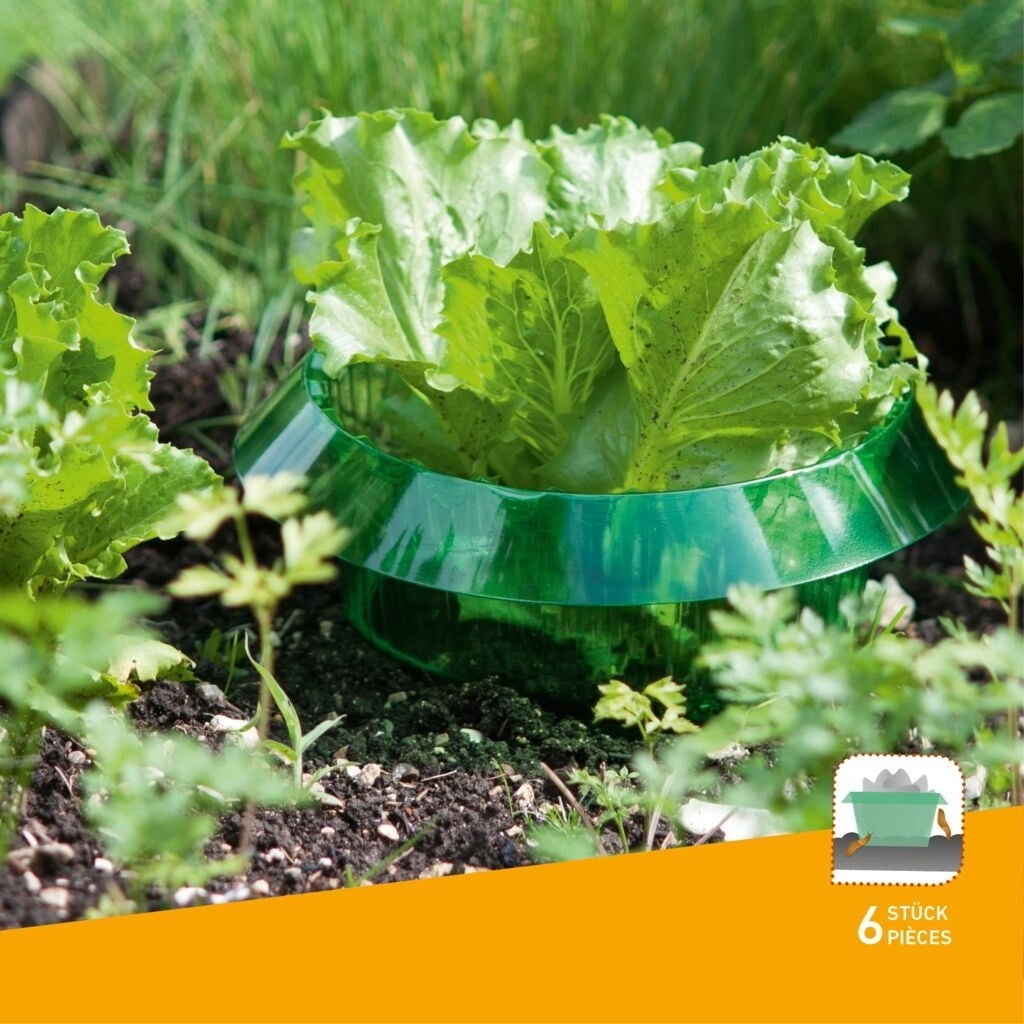 Windhager Snail Stop Barrier Ring - 6 items