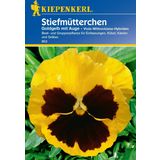 Kiepenkerl Pansies "Golden Yellow with an Eye"