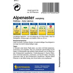 Kiepenkerl Lichtblauwe Alpenaster - 1 Verpakking