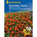 Kiepenkerl Small Flowered Marigolds 