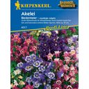 Kiepenkerl Akelei - Biedermeier - 1 Verpakking