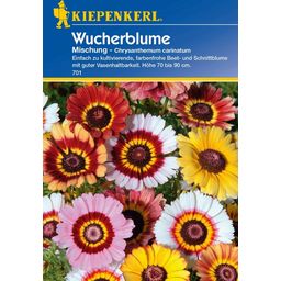 Kiepenkerl Wucherblumen-Mischung