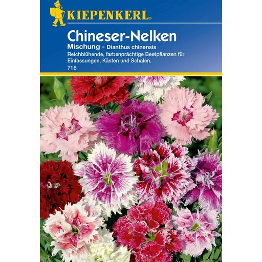 Kiepenkerl Chineser-Nelken-Mischung - 1 Pkg