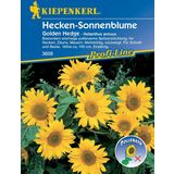 Kiepenkerl Sunflower- "Golden Hedge"