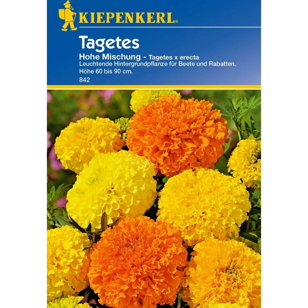 Kiepenkerl Marigold Tagetes 