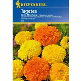 Kiepenkerl Tagetes "Hohe Mischung"