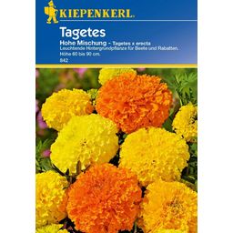 Kiepenkerl Tagetes "Hohe Mischung"