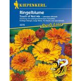 Kiepenkerl Marigolds "Touch of Red Mix"