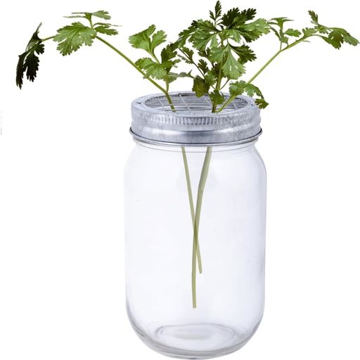 Esschert Design Glass Vase With Flower Arranging Lid - 1 item