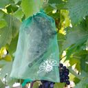 Andermatt Biogarten Druivenbeschermingszakken - 1 Verpakking