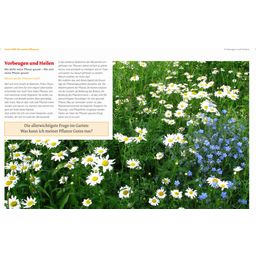 Löwenzahn Verlag Handbuch Pflanzenschutz im Biogarten - 1 pz.