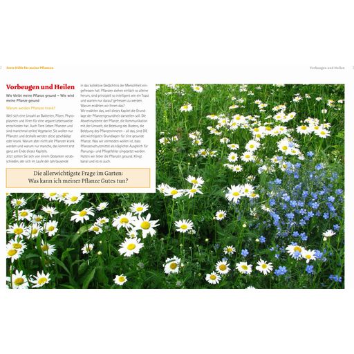 Löwenzahn Verlag Handbuch Pflanzenschutz im Biogarten - 1 Stk.