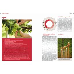Löwenzahn Verlag Handbuch Bio-Obst - 1 pz.