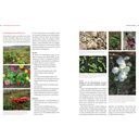 Löwenzahn Verlag Bio-Schnittblumen aus dem eigenen Garten - 1 pcs
