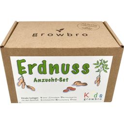 growbro Erdnuss "Kids" Anzucht-Set