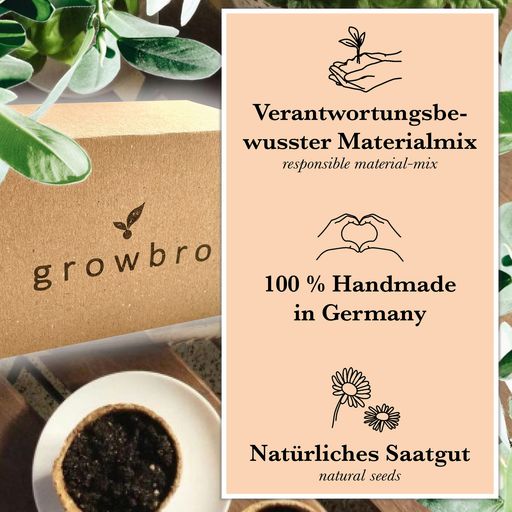 growbro Kit de Culture pour Enfants - Arachide - 1 kit
