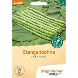 Bingenheimer Saatgut Stangenbohne "Neckarkönigin"