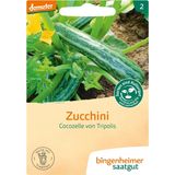 Bingenheimer Saatgut Zucchini "Cocozelle von Tripolis"