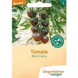 Bingenheimer Saatgut Cherry-Tomate "Black Cherry"