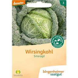 Bingenheimer Saatgut Kohl, Wirsing "Smaragd"