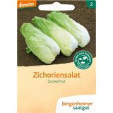Bingenheimer Saatgut "Cukorsüveg" cikória saláta 