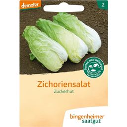 Bingenheimer Saatgut Zichoriensalat "Zuckerhut"