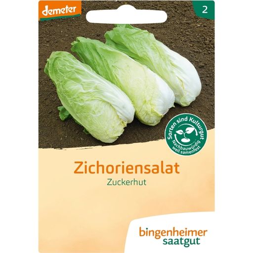 Bingenheimer Saatgut Sugar Loaf Chicory Lettuce - 1 Pkg
