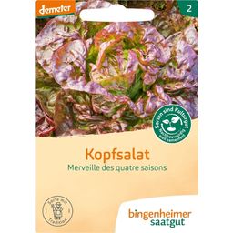 Bingenheimer Saatgut Kopfsalat 