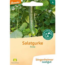 Bingenheimer Saatgut Slangkomkommer “Arola” - 1 Verpakking