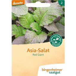Bingenheimer Saatgut Asia-Salat "Red Giant"