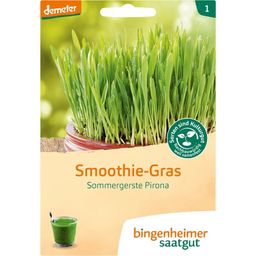 Bingenheimer Saatgut Sommergerste Pirona "Smoothie-Gras"