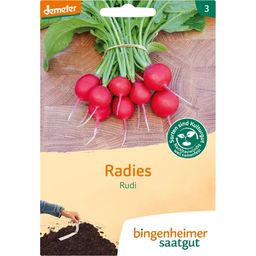 Bingenheimer Saatgut Radies "Rudi"