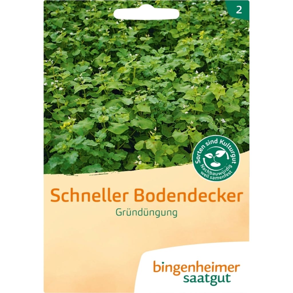 Bingenheimer Saatgut Grndngung "Schneller Bodendecker", 1 Packung -  Bloomling sterreich