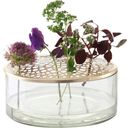 Villa Collection Vasen-Set ELVA aus Glas & Messing - 1 Set