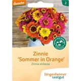 Bingenheimer Saatgut Zinnie "Sommer in Orange"