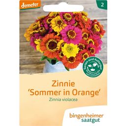 Bingenheimer Saatgut Zinnie "Sommer in Orange"