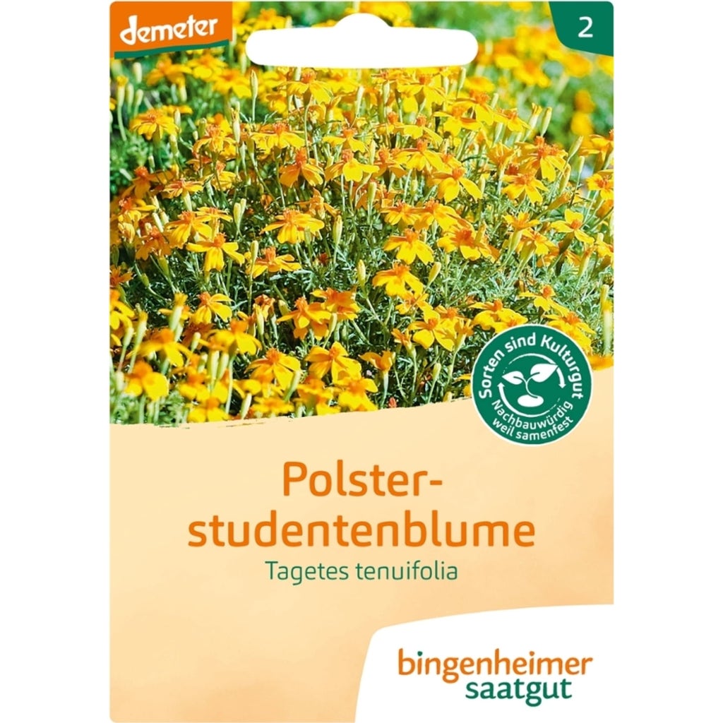 bingenheimer-saatgut-apr-b-rsonyvir-g-1-csomag-bloomling-online-shop
