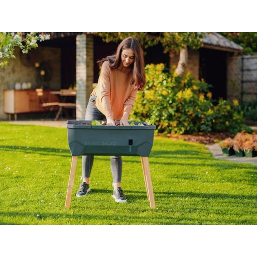 SAMMY SALAD Raised Bed With Water Tank & Hood - anthracite