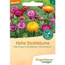 Bingenheimer Saatgut Hohe Strohblume - 1 Pkg