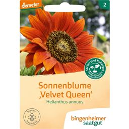 Bingenheimer Saatgut Sonnenblume - 1 Pkg