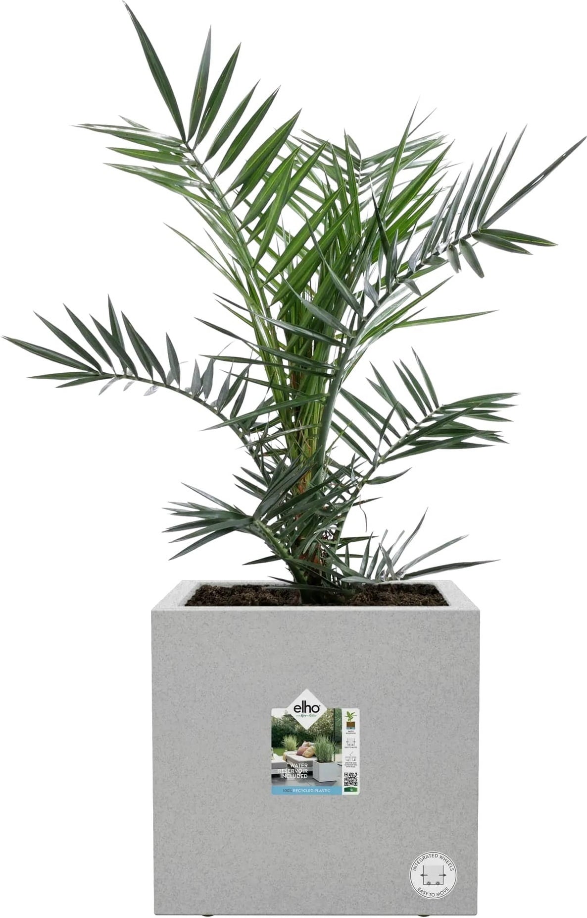 Planteringskärl vivo next quadrat - 30 cm - levande betong